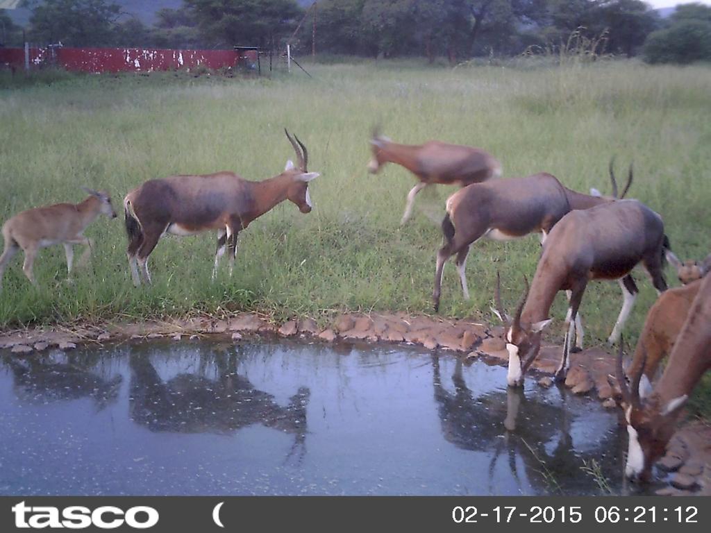 타바짐비 Boschfontein Guest Farm 빌라 외부 사진